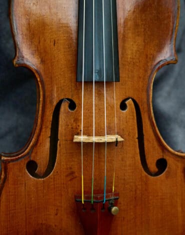 CAROUSEL-VIOLIN-WEB