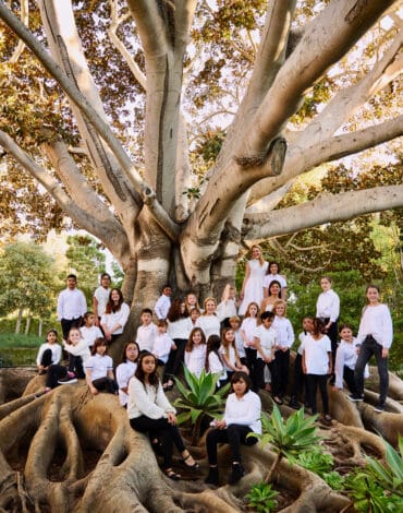 WEB---MA_TREE-GROUP_0058-copy_FINAL