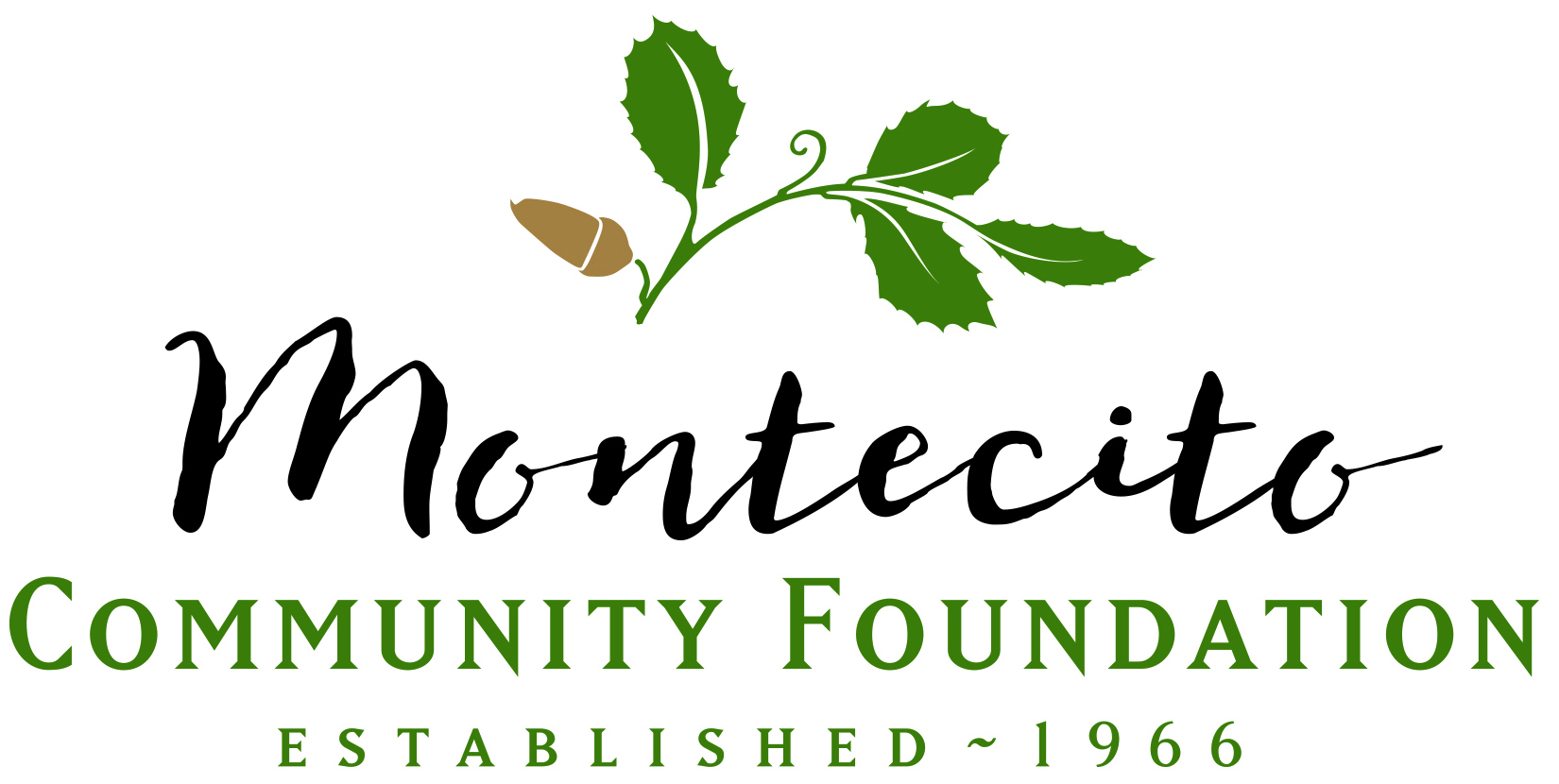 Lead Foundation Sponsor